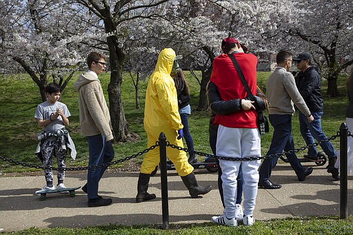 A 17-year-old who asked not to be named wears a yellow hazmat suit, gas mask, boots, and gloves as he walks past a couple in an embrace, as he and his family from Gaithersburg, Md. walk under cherry blossom trees in full bloom on their way to the tidal basin, Sunday, March 22, 2020, in Washington. &quot;I'm not worried for me since I'm young,&quot; says the 17-year-old, &quot;I'm wearing this in case I come into contact with anyone who is older so that I won't be a threat to them.&quot; He plans to wear his protective outfit for coronavirus each time he leaves the house. Sections of the National Mall and tidal basin areas have been closed to vehicular traffic to encourage people to practice social distancing and not visit Washington's iconic cherry blossoms this year due to coronavirus concerns. The trees are in full bloom this week and would traditionally draw a large crowd. (AP Photo/Jacquelyn Martin)