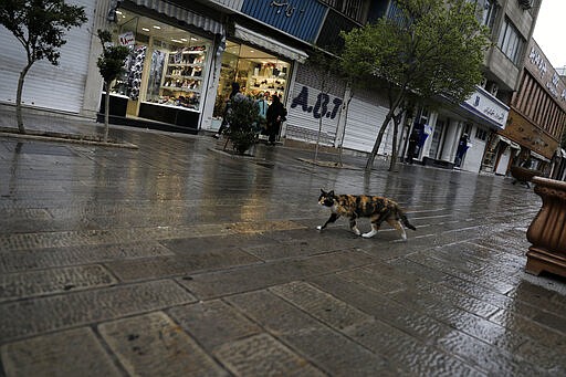 A cat walks in a mostly empty street in a commercial district in downtown Tehran, Iran, Sunday, March 22, 2020. On Sunday, Iran imposed a two-week closure on major shopping malls and centers across the country to prevent spreading the new coronavirus. Pharmacies, supermarkets, groceries and bakeries will remain open. (AP Photo/Vahid Salemi)