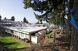 Feds release results of inspection at virus-hit nursing home