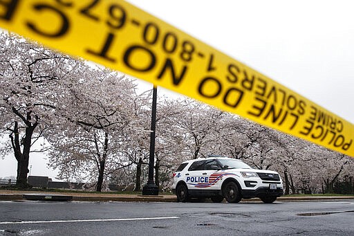 A Washington D.C. Metropolitan Police vehicle is parked on the other side of a tape police line along the Tidal Basin as cherry blossoms cover the trees, in Washington, Monday, March 23, 2020. As Washington, D.C. continues to work to mitigate the spread of the coronavirus (COVID-19), Mayor Muriel Bowser extended road closures and other measures to restrict access to the Tidal Basin, a main tourist attraction. (AP Photo/Carolyn Kaster)