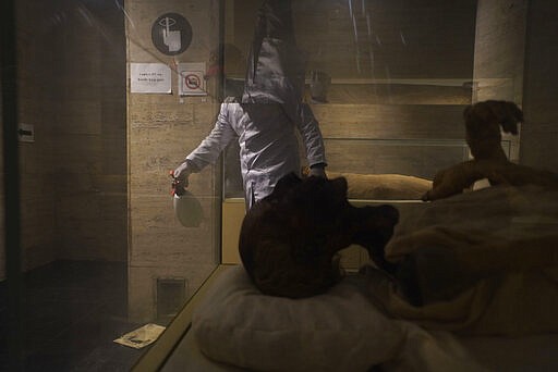 A worker disinfects the Royal Mummies Hall, in an effort to help prevent the spread of the coronavirus, at the Egyptian Museum in Tahrir Square, Cairo, Egypt, Monday, March 23, 2020. (AP Photo/Hamada Elrasam)