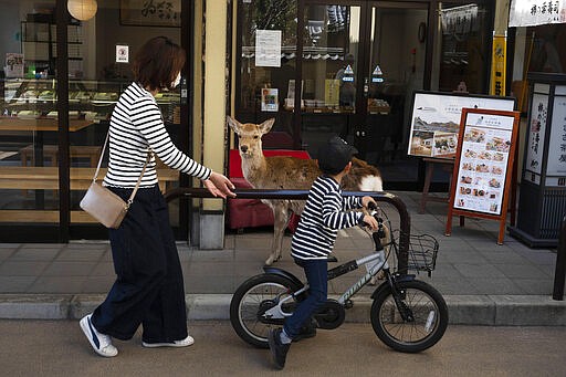 A young boy rides his bike past a deer wandering around the shopping area in Nara, Japan, Thursday, March 19, 2020. (AP Photo/Jae C. Hong)