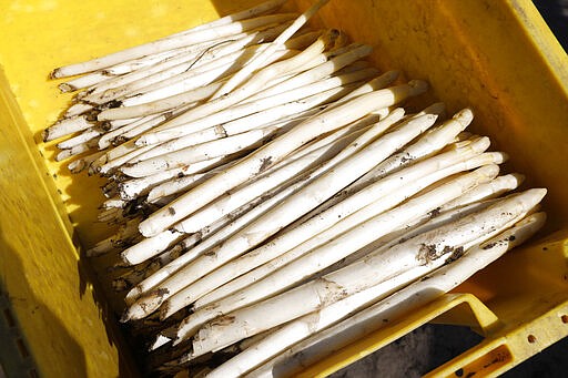 Asparagus harvested by seasonal workers from Rumania lay in a box on a field of farmer Henning Hoffheinz near Genthin, Germany, Wednesday, March 18, 2020. Last year, German farmers employed nearly 300,000 seasonal workers but as more and more European Union countries have restricted or stopped crossings of their usually near-invisible borders because of the coronavirus outbreak, Hoffheinz and others are left wondering how they will bring in their crops this year. (AP Photo/Markus Schreiber)