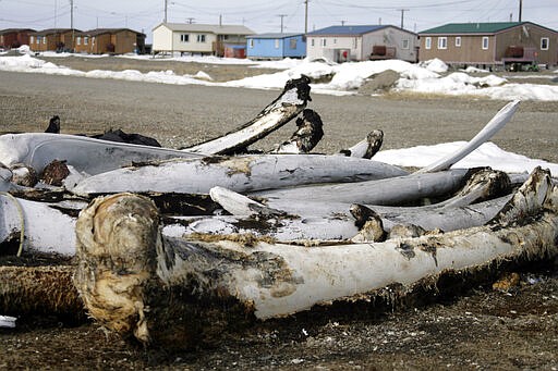 FILE - In this Oct. 13, 2006, file photo, whale bones from past hunts sit in the village Point Hope, Alaska. The pandemic's toll in big U.S. cities like New York, Seattle and San Francisco has dominated headlines, but enormous swaths of rural America from coastal Georgia to the frozen reaches of Alaska are also deeply affected by the rapid spread of the new coronavirus. In Alaska's Point Hope, an Inupiat whaling village at the edge of the Arctic Ocean nearly 700 miles north of Anchorage, tribal leaders held a meeting this week to prepare and wrestled with whether or not to ban air travel into town. The state's limited road system doesn't reach the town of 900 people, which relies on planes for much of its connection to the outside world. (AP Photo/Al Grillo, File)