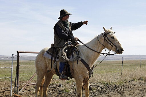 In this photo taken March 20, 2020, cattle rancher Mike Filbin points to a herd of cattle on his property in Dufur, Oregon before herding the cows back to his pens for calf branding. Tiny towns tucked into Oregon's windswept plains and cattle ranches miles from anywhere in South Dakota might not have had a single case of the new coronavirus yet, but their residents fear the spread of the disease to areas with scarce medical resources, the social isolation that comes when the only diner in town closes its doors and the economic free fall that's already hitting them hard. (AP Photo/Gillian Flaccus)