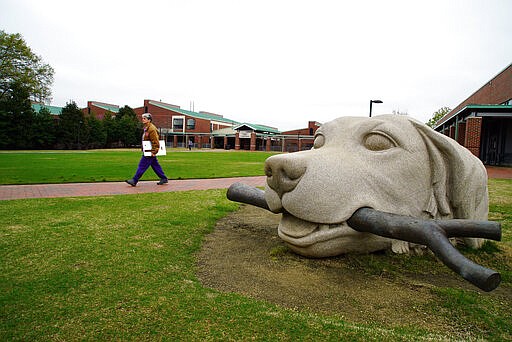 In this March 24, 2020, photo, a woman walks past a dog sculpture on the campus of the North Carolina State University College of Veterinary Medicine in Raleigh, N.C. The school is one of several vet schools around the country that have donated breathing machines, masks and other supplies to their human health-care counterparts in the fight against the COVID-19 pandemic. (AP Photo/Allen G. Breed)