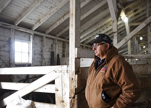 Walt Bones watches as cattle are moved onto a trailer on Saturday, March 21, 2020, in Parker, S.D. Although Bones kept an eye on the market and tried to implement risk management, he could not predict the impacts of the coronavirus. &quot;One of my concerns is what's next,&quot; Bones said. (Abigail Dollins/The Argus Leader via AP)