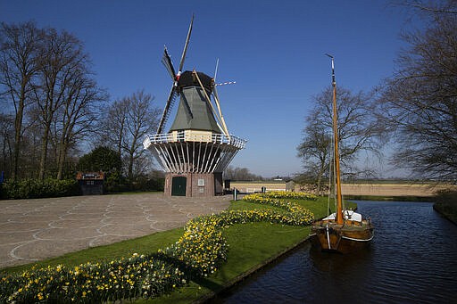 View of the empty, world-renowned, Dutch flower garden Keukenhof which was closed because of the coronavirus, in Lisse, Netherlands, Thursday, March 26, 2020. Keukenhof, which attracted 1.5 million visitors last year, will not open after the Dutch government extended its ban on gatherings to June 1 in an attempt to slow the spread of the virus. Instead of opening, it will allow people to virtually visit its colorful floral displays through its social media and online channels. The new coronavirus causes mild or moderate symptoms for most people, but for some, especially older adults and people with existing health problems, it can cause more severe illness or death. (AP Photo/Peter Dejong)