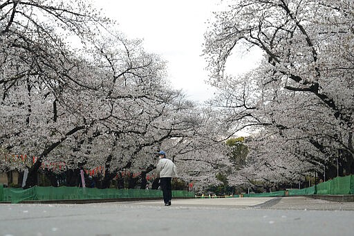 An official walks at an empty street of cherry blossoms after it was closed as a safety precaution against the new coronavirus at Ueno Park in Tokyo Friday, March 27, 2020. The new coronavirus causes mild or moderate symptoms for most people, but for some, especially older adults and people with existing health problems, it can cause more severe illness or death.(AP Photo/Eugene Hoshiko)