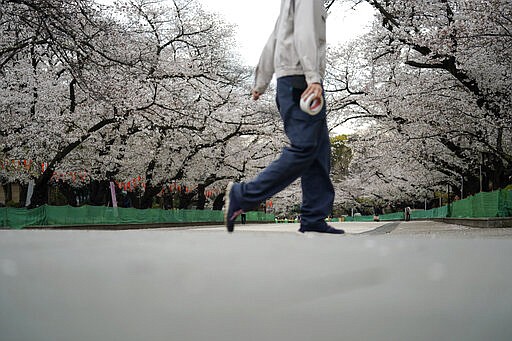 An official walks at an empty street of cherry blossoms after it was closed as a safety precaution against the new coronavirus  at Ueno Park in Tokyo Friday, March 27, 2020. The new coronavirus causes mild or moderate symptoms for most people, but for some, especially older adults and people with existing health problems, it can cause more severe illness or death.(AP Photo/Eugene Hoshiko)