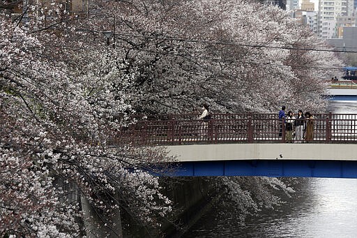 People gather on a bridge over the Megro River to view cherry blossoms Friday, March 27, 2020, in Tokyo. The new coronavirus causes mild or moderate symptoms for most people, but for some, especially older adults and people with existing health problems, it can cause more severe illness or death. (AP Photo/Kiichiro Sato)