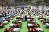 Iran's army sets up hospital in capital as virus toll climbs