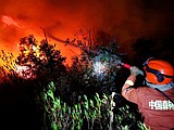 China state media reports 19 people killed in forest fire