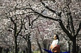 Hay fever or virus? For allergy sufferers, a season of worry