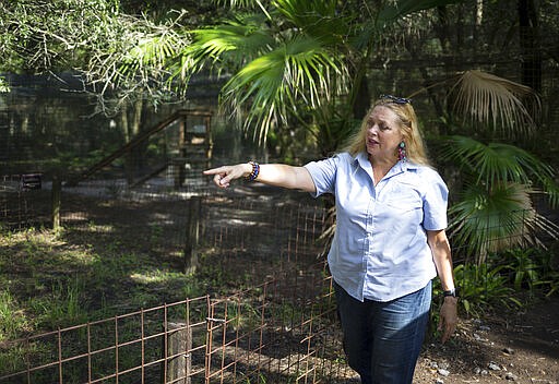 FILE - In this July 20, 2017 file photo, Carole Baskin, founder of Big Cat Rescue, walks the property near Tampa, Fla. Baskin was married to Jack &#147;Don&#148; Lewis, whose 1997 disappearance remains unsolved and is the subject of a new Netflix series &#147;Tiger King.&#148; (Loren Elliott/Tampa Bay Times via AP, File)