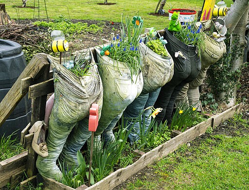 Old trousers recycled as growbags for herbs in an allotment as people are flocking to find advice on growing their own fruit and vegetables in the light of the coronavirus crisis, horticultural experts have said, in Bromley, Kent, England, Monday March 23, 2020. (Giles Anderson/PA via AP)