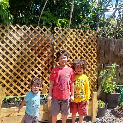 CHANGES LAST NAME TO BOLANOS, NOT RUIZ AS SENT - In this March 28, 2020, photo, Ashton Bolanos, left, Alec Bolanos and Aiden Bolanos stand alongside their vegetable garden in Miami, Fla. As the arrival of spring in the Northern Hemisphere coincides with orders to stay at home and out of crowds, the backyard garden has become a getaway for the mind in chaotic times. (Annika Bolanos via AP)