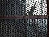 Crammed in filthy cells, political prisoners fear infection