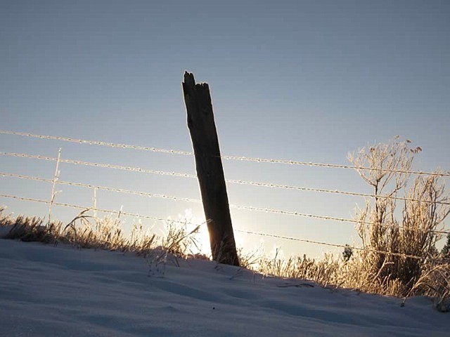 Photo by SKY REINHARDT
 &#147;I think this photo supports the theme of &#147;look to the forest&#148; because it shows how forest products have been helping farmers and ranchers raise livestock for the past 150 years.&#148;