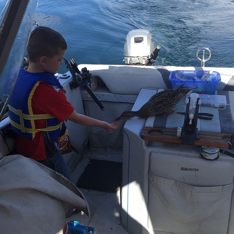 (Photo courtesy/LAKE PEND OREILLE IDAHO CLUB)
Sometimes the fishing is slow on the big water and you have to find other ways to pass the time. Jackson Sifford was fishing with his grandpa, Dan Lenz, when a visitor decided to stop in for a lunch break.