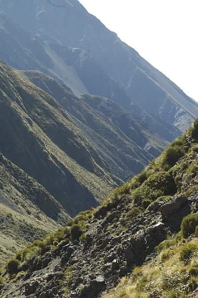 Courtesy photo
The valley in New Zealand where local taxidermist John Thomas bagged his chamois.