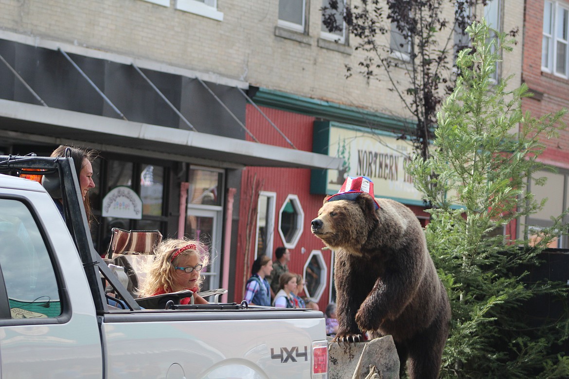 Photo by DON COGGER
A stuffed grizzly shows his patriotic spirit Monday during the 2016 4th of July parade in downtown Bonners Ferry.