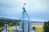 Grain business offers locally milled flour