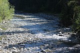 Groups join forces to restore creek