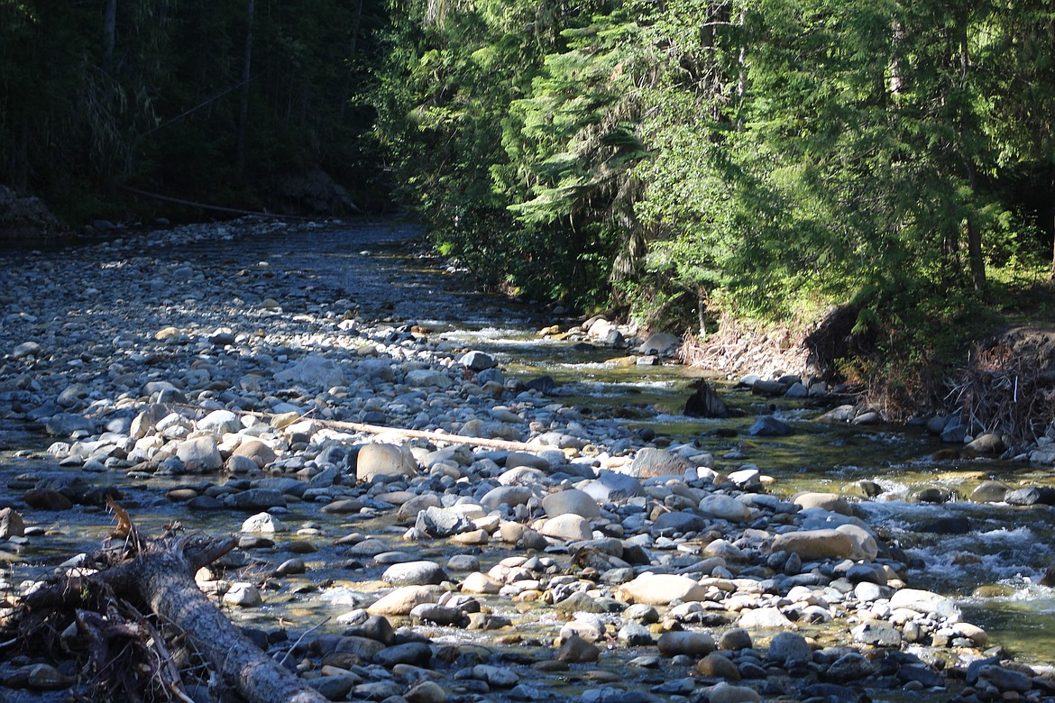 &#151;Photo by BONNERS FERRY HERALD STAFF
Photo from the Boulder Creek Restoration project.