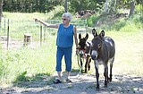For the love of donkeys