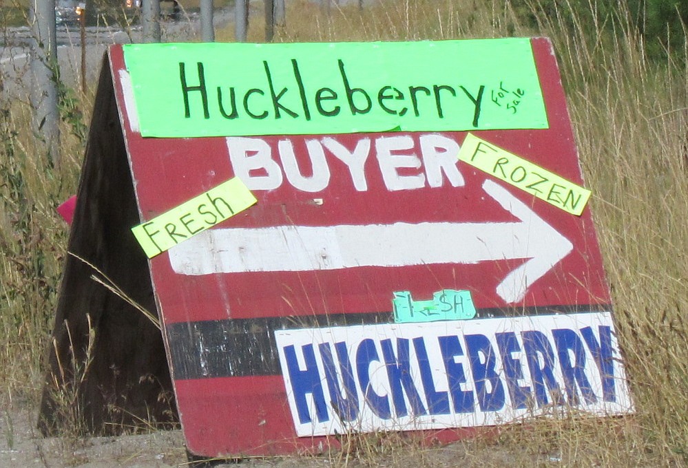 --Photo by LYNNE HALEY

Signs for huckleberry buyers have sprung up around town this summer.