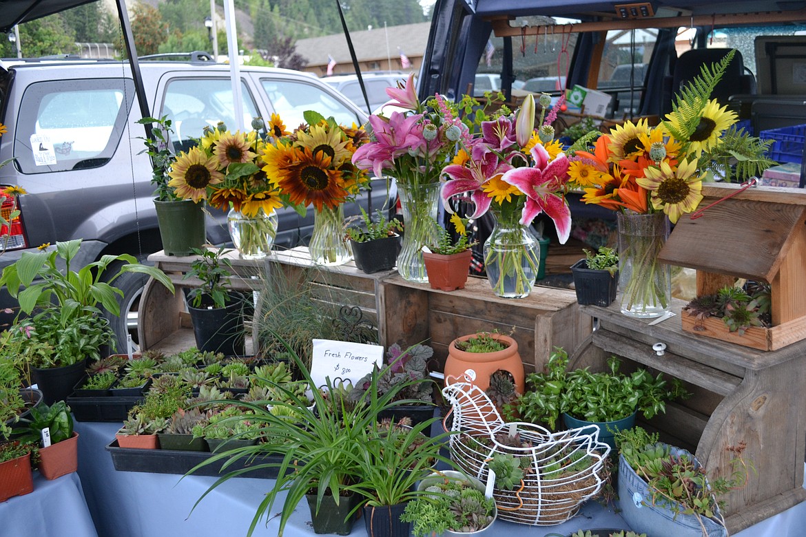 -- Photo by SARAH JENKINS

Lovely locally grown sunflowers and lilies add vibrance to a grower's booth at Saturday's Bonners Ferry Farmers Market.