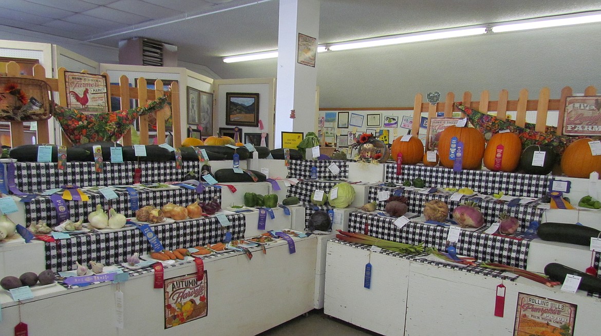 -- Photo by LYNNE HALEY

Award-winning produce at last week&#146;s Boundary County Fair