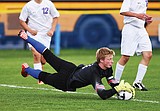 Cats '100 percent' better