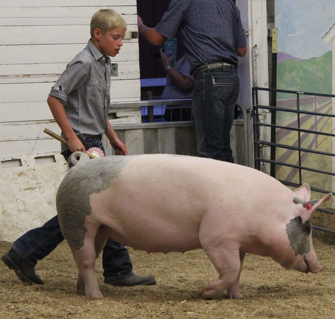 -- Photo by STACIE SHORT

Brycen Cowin and his swine take a spin around the arena at the 4-H FFA stock sale.