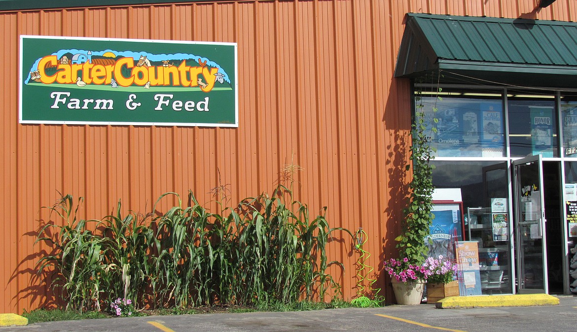 -- Photo by LYNNE HALEY

Carter Country Farm &amp; Feed is a favorite with Boundary County voters.