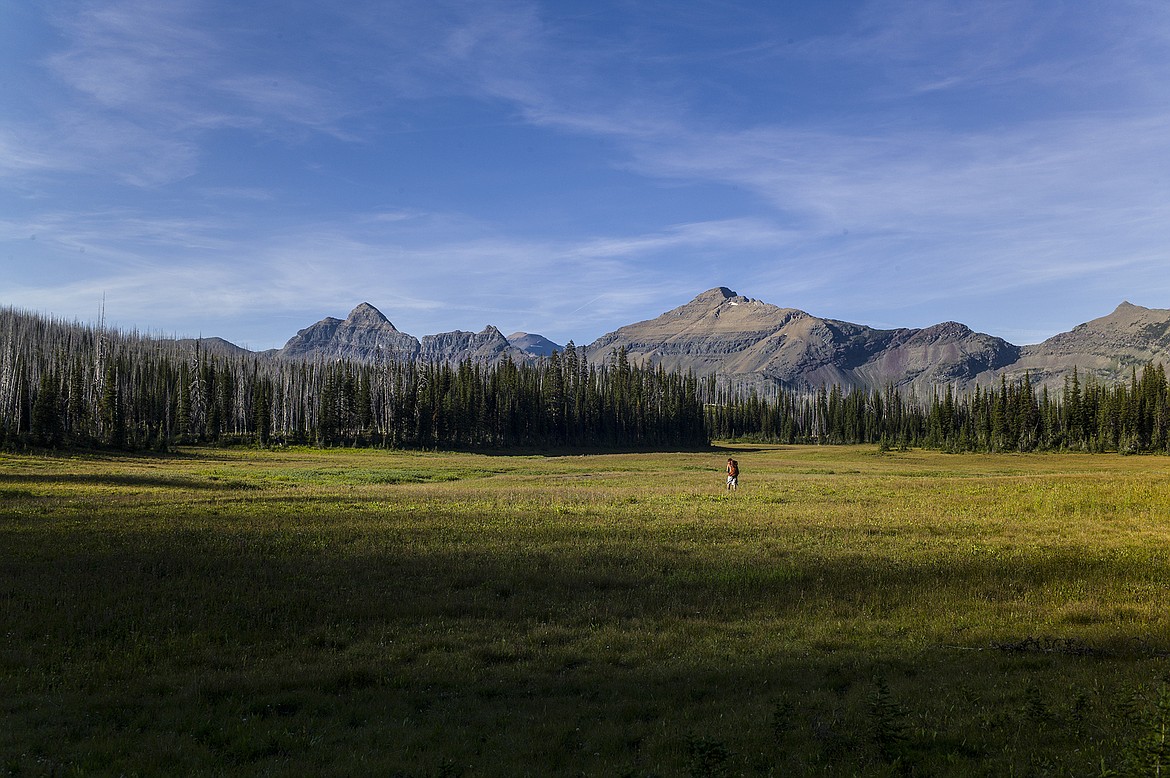 A hiker crosses a high country meadow in Glacier National Park.