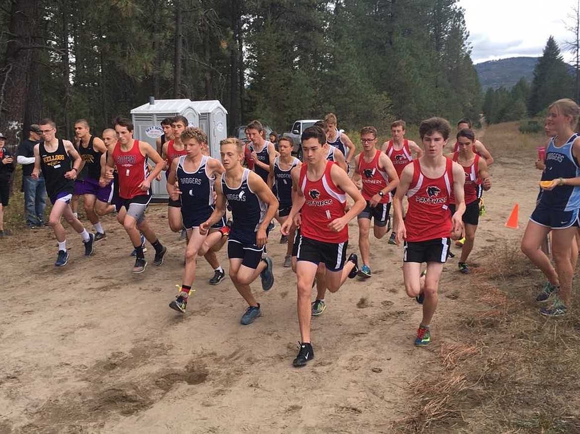 &#151;Courtesy photo
Runners take off from the starting line at a recent Bonners Ferry Invitational.