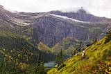 Volunteers sought for Glacier Park bighorn sheep study