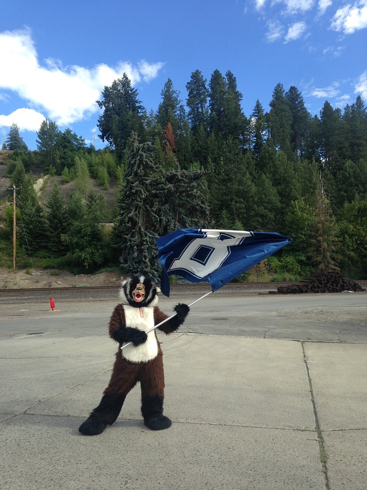 &#151;Photo by SARAH JENKINS
Buddy Badger waves the Badger flag with pride.