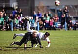 Cats lose battle to Belgrade in soccer semis