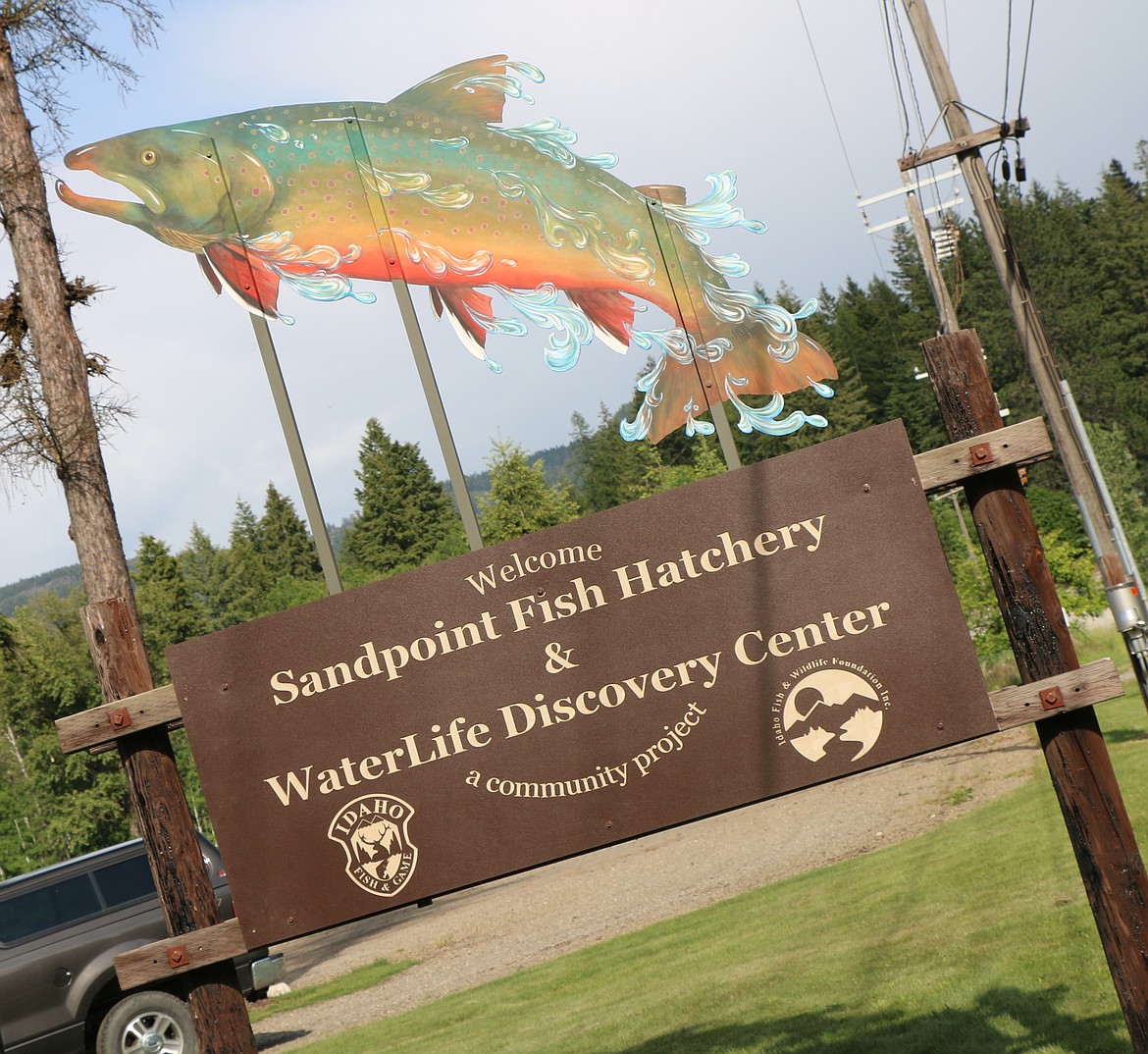 &#151;Photo by CAROLINE LOBSINGER
A spawning trout leaping from the water  calls attention to the Waterlife Discovery Center, located along Lakeshore Drive in Sagle.