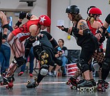 A roll on the wild side