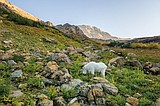 Conservancy doubles Park giving