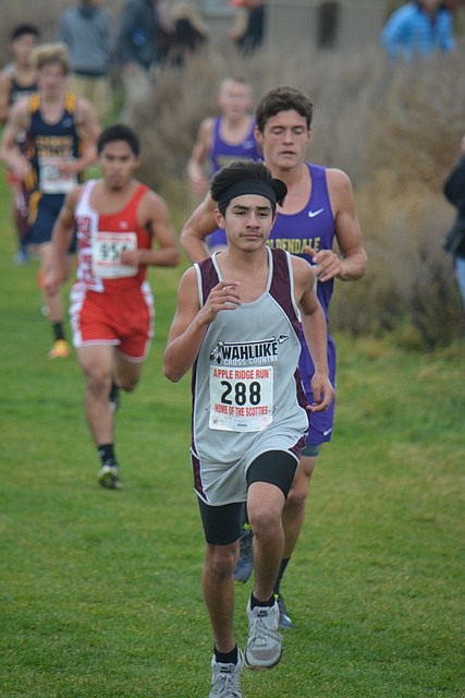 David Miskimens Photo - Yerik Arellano, a freshman at Wahluke, is the top finisher individually for his team in the boys race at district.