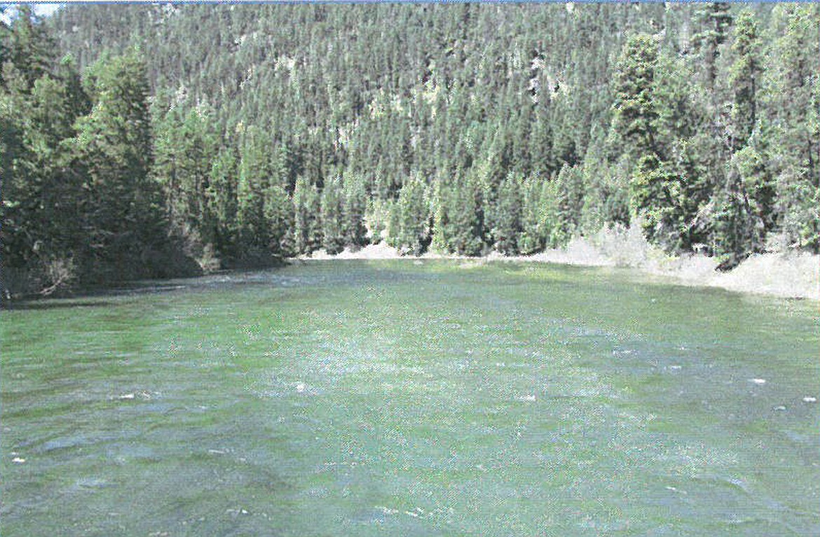 A view of Priest River below Priest Lake's Outlet Bay Dam.