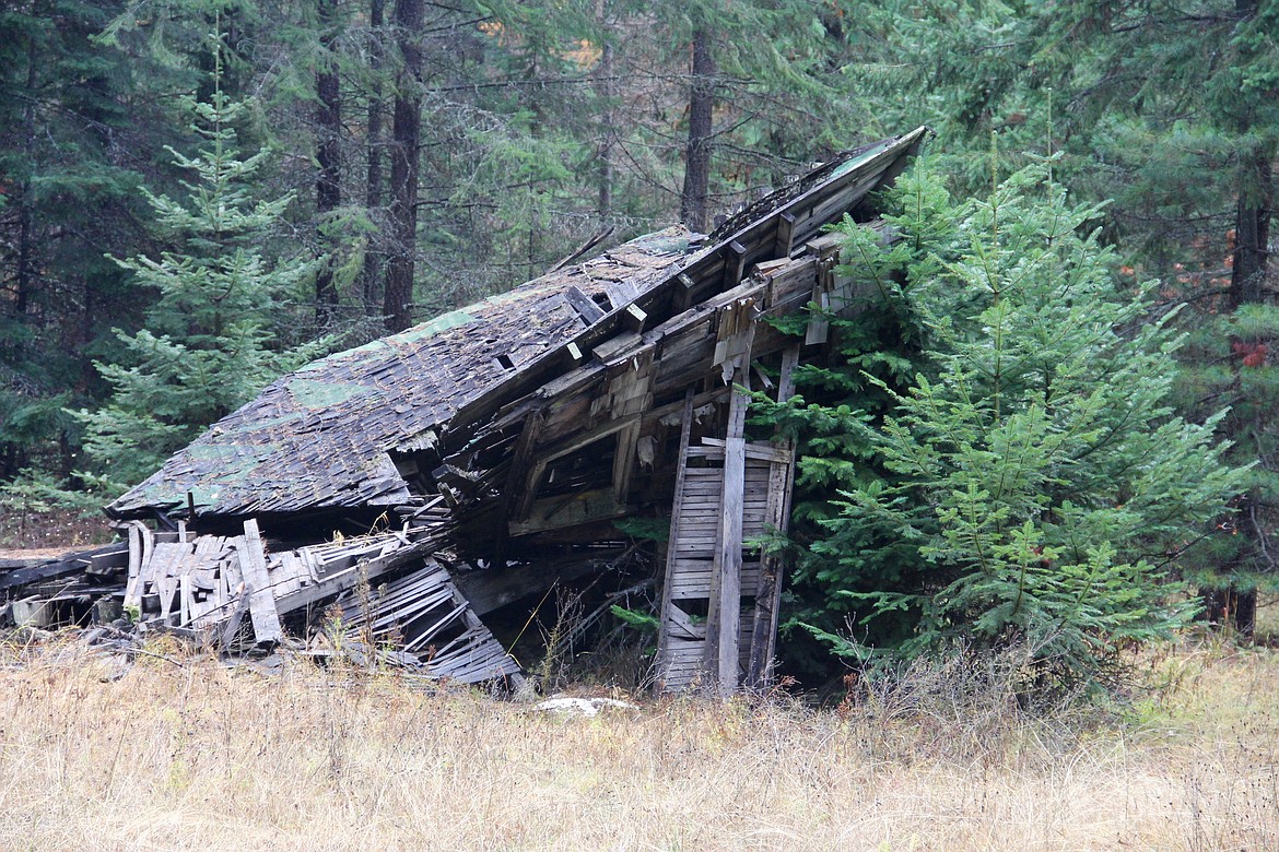 &#151;Photo by DAC COLLINS
One of the more &#147;intact&#148; structures, which was clearly made from milled lumber, can be found along Boulder Creek Road. Old foundations, skeletons of rooves and othere bits and pieces from old homesites can also be found nearby.