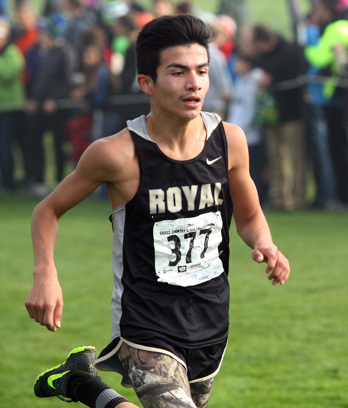 Rodney Harwood/Columbia Basin Herald - Sophomore Rudy Flores finishes first for Royal in 13th place at the state cross country meet.