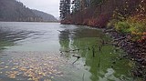 Health advisory for Black Lake