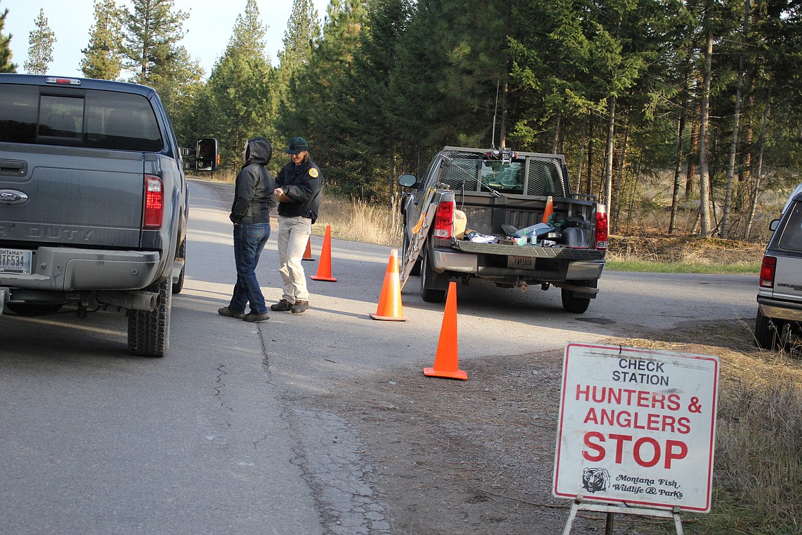 At the Fish Creek check station on Sat. Nov. 26 nearly 60 hunters stopped with only 2 successful tags filled. (Photo by Kathleen Woodford/Mineral Independent)